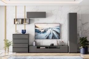 ДЕНВЕР Пенал (Графит серый) в Краснокамске - krasnokamsk.mebel24.online | фото 4