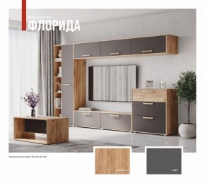 ФЛОРИДА Гостиная (модульная) дуб золотой/графит в Краснокамске - krasnokamsk.mebel24.online | фото