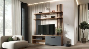 КАРОЛИНА Гостиная в Краснокамске - krasnokamsk.mebel24.online | фото