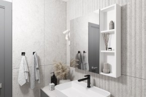 Кларити Шкаф зеркальный 16.312.03 в Краснокамске - krasnokamsk.mebel24.online | фото