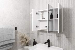 Кларити Шкаф зеркальный 16.312.08 в Краснокамске - krasnokamsk.mebel24.online | фото 2