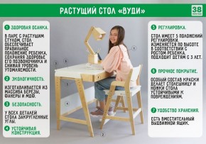 Комплект растущий стол и стул с чехлом 38 попугаев «Вуди» (Серый, Береза, Салют) в Краснокамске - krasnokamsk.mebel24.online | фото