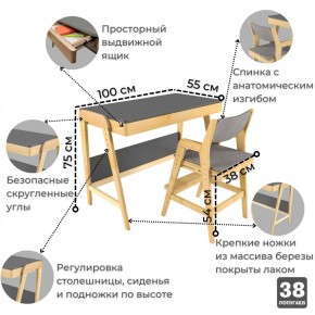 Комплект растущий стол и стул с чехлом 38 попугаев «Вуди» (Серый, Береза, Серый) в Краснокамске - krasnokamsk.mebel24.online | фото
