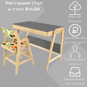 Комплект растущий стол и стул с чехлом 38 попугаев «Вуди» (Серый, Без покрытия, Монстры) в Краснокамске - krasnokamsk.mebel24.online | фото