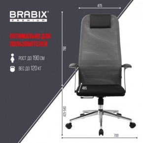 Кресло офисное BRABIX PREMIUM "Ultimate EX-801" хром, плотная двойная сетка Х2, черное/серое, 532918 в Краснокамске - krasnokamsk.mebel24.online | фото 5