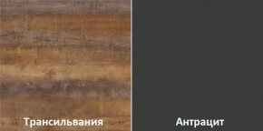 Кухонный гарнитур угловой Трансильвания 2600х1600 мм (Стол. 38 мм) в Краснокамске - krasnokamsk.mebel24.online | фото 3