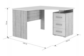 ЛАЙТ К4 Компьютерный стол в Краснокамске - krasnokamsk.mebel24.online | фото 6