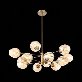 Люстра на штанге ST-Luce Fovia SL1500.203.12 в Краснокамске - krasnokamsk.mebel24.online | фото 4