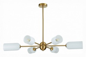Люстра на штанге ST-Luce Treviso SL1180.202.06 в Краснокамске - krasnokamsk.mebel24.online | фото 2