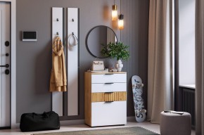 МЕБЕЛЬСОН К21 Прихожая в Краснокамске - krasnokamsk.mebel24.online | фото