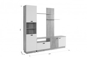 МОДИ Гостиная (модульная) белое дерево в Краснокамске - krasnokamsk.mebel24.online | фото 2