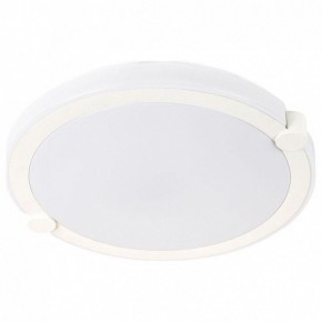 Накладной светильник Arte Lamp Biscotti A2679PL-72WH в Краснокамске - krasnokamsk.mebel24.online | фото