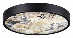 Накладной светильник Odeon Light Bergi 5064/30L в Краснокамске - krasnokamsk.mebel24.online | фото 4