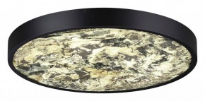 Накладной светильник Odeon Light Bergi 5064/40L в Краснокамске - krasnokamsk.mebel24.online | фото 3