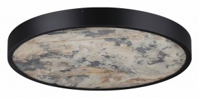 Накладной светильник Odeon Light Bergi 5064/40L в Краснокамске - krasnokamsk.mebel24.online | фото 6