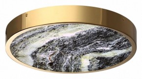 Накладной светильник Odeon Light Bergi 5079/30L в Краснокамске - krasnokamsk.mebel24.online | фото 3