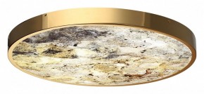 Накладной светильник Odeon Light Bergi 5079/50L в Краснокамске - krasnokamsk.mebel24.online | фото 5