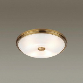 Накладной светильник Odeon Light Pelow 4956/4 в Краснокамске - krasnokamsk.mebel24.online | фото 2