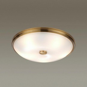 Накладной светильник Odeon Light Pelow 4956/5 в Краснокамске - krasnokamsk.mebel24.online | фото 2