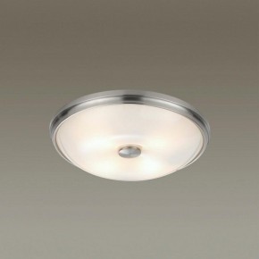 Накладной светильник Odeon Light Pelow 4957/4 в Краснокамске - krasnokamsk.mebel24.online | фото 2