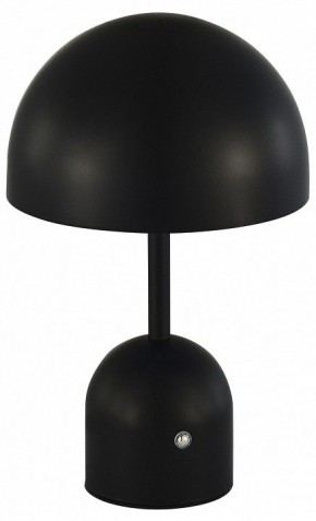 Настольная лампа декоративная EVOLUCE Eclat SLE1806-404-01 в Краснокамске - krasnokamsk.mebel24.online | фото