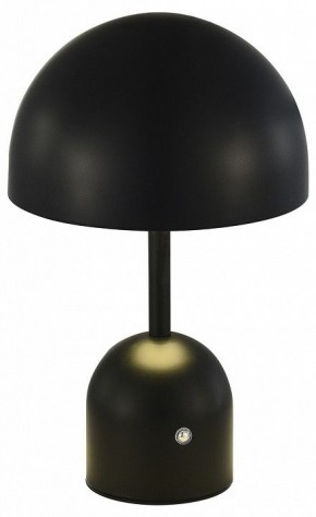 Настольная лампа декоративная EVOLUCE Eclat SLE1806-404-01 в Краснокамске - krasnokamsk.mebel24.online | фото 2