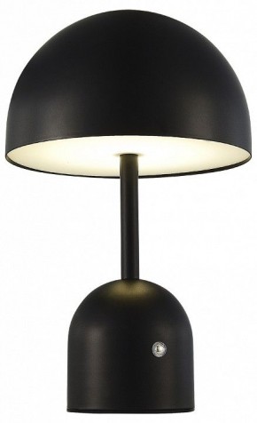 Настольная лампа декоративная EVOLUCE Eclat SLE1806-404-01 в Краснокамске - krasnokamsk.mebel24.online | фото 3