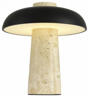 Настольная лампа декоративная ST-Luce Earthy SL1194.424.01 в Краснокамске - krasnokamsk.mebel24.online | фото 4