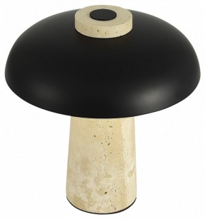 Настольная лампа декоративная ST-Luce Earthy SL1194.424.01 в Краснокамске - krasnokamsk.mebel24.online | фото 5