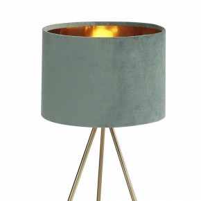 Настольная лампа декоративная ST-Luce FUEGO SL6242.704.01 в Краснокамске - krasnokamsk.mebel24.online | фото 5