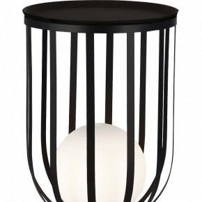 Настольная лампа декоративная ST-Luce Nordic SL6129.404.01 в Краснокамске - krasnokamsk.mebel24.online | фото 5