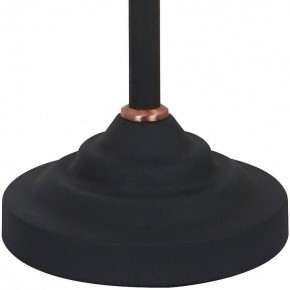 Настольная лампа офисная Arte Lamp Braccio A2054LT-1BK в Краснокамске - krasnokamsk.mebel24.online | фото 4
