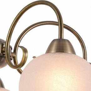 Подвесная люстра Arte Lamp Margo A9317LM-5AB в Краснокамске - krasnokamsk.mebel24.online | фото 3
