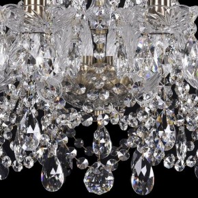 Подвесная люстра Bohemia Ivele Crystal 1411 1411/10/195/Pa в Краснокамске - krasnokamsk.mebel24.online | фото 3