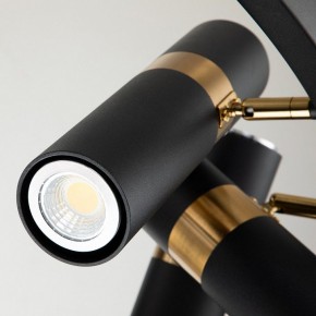 Подвесная люстра Favourite Light point 2997-9P в Краснокамске - krasnokamsk.mebel24.online | фото 5