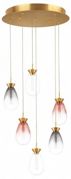 Подвесная люстра Lightstar Colore 805169 в Краснокамске - krasnokamsk.mebel24.online | фото