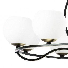 Подвесная люстра Lightstar Enna 762117 в Краснокамске - krasnokamsk.mebel24.online | фото 4