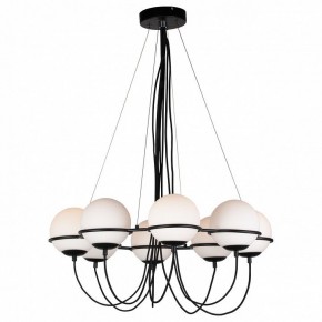 Подвесная люстра Lightstar Globo 803287 в Краснокамске - krasnokamsk.mebel24.online | фото 3