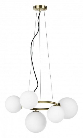 Подвесная люстра Lightstar Globo 815051 в Краснокамске - krasnokamsk.mebel24.online | фото 2