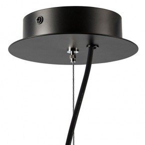 Подвесная люстра Lightstar Ragno 733247 в Краснокамске - krasnokamsk.mebel24.online | фото 9