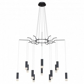 Подвесная люстра Maytoni Davida MOD035PL-12B в Краснокамске - krasnokamsk.mebel24.online | фото 2
