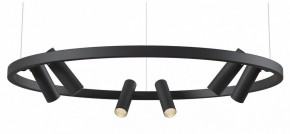 Подвесная люстра Maytoni Halo MOD102PL-L42BK в Краснокамске - krasnokamsk.mebel24.online | фото