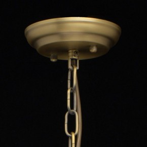 Подвесная люстра MW-Light Альгеро 3 285010703 в Краснокамске - krasnokamsk.mebel24.online | фото 14