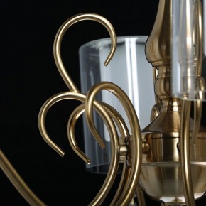 Подвесная люстра MW-Light Эллегия 8 303012708 в Краснокамске - krasnokamsk.mebel24.online | фото 7