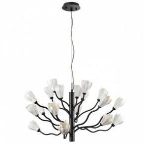 Подвесная люстра Odeon Light Gardi 5090/18 в Краснокамске - krasnokamsk.mebel24.online | фото 3