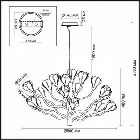 Подвесная люстра Odeon Light Gardi 5090/18 в Краснокамске - krasnokamsk.mebel24.online | фото 6