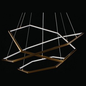Подвесной светильник Aployt Polunia APL.021.03.136 в Краснокамске - krasnokamsk.mebel24.online | фото 5