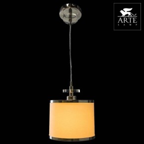 Подвесной светильник Arte Lamp Furore A3990SP-1CC в Краснокамске - krasnokamsk.mebel24.online | фото 3