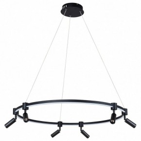 Подвесной светильник Arte Lamp Ring A2186SP-1BK в Краснокамске - krasnokamsk.mebel24.online | фото 2