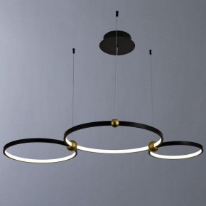 Подвесной светильник Divinare Amadeo 1123/04 SP-75 в Краснокамске - krasnokamsk.mebel24.online | фото 2